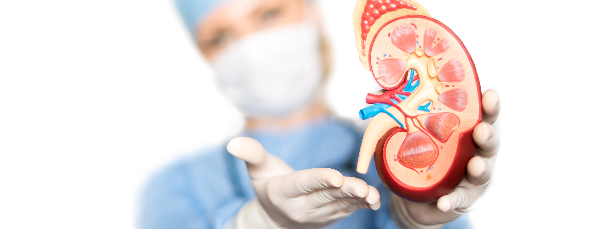 Urology